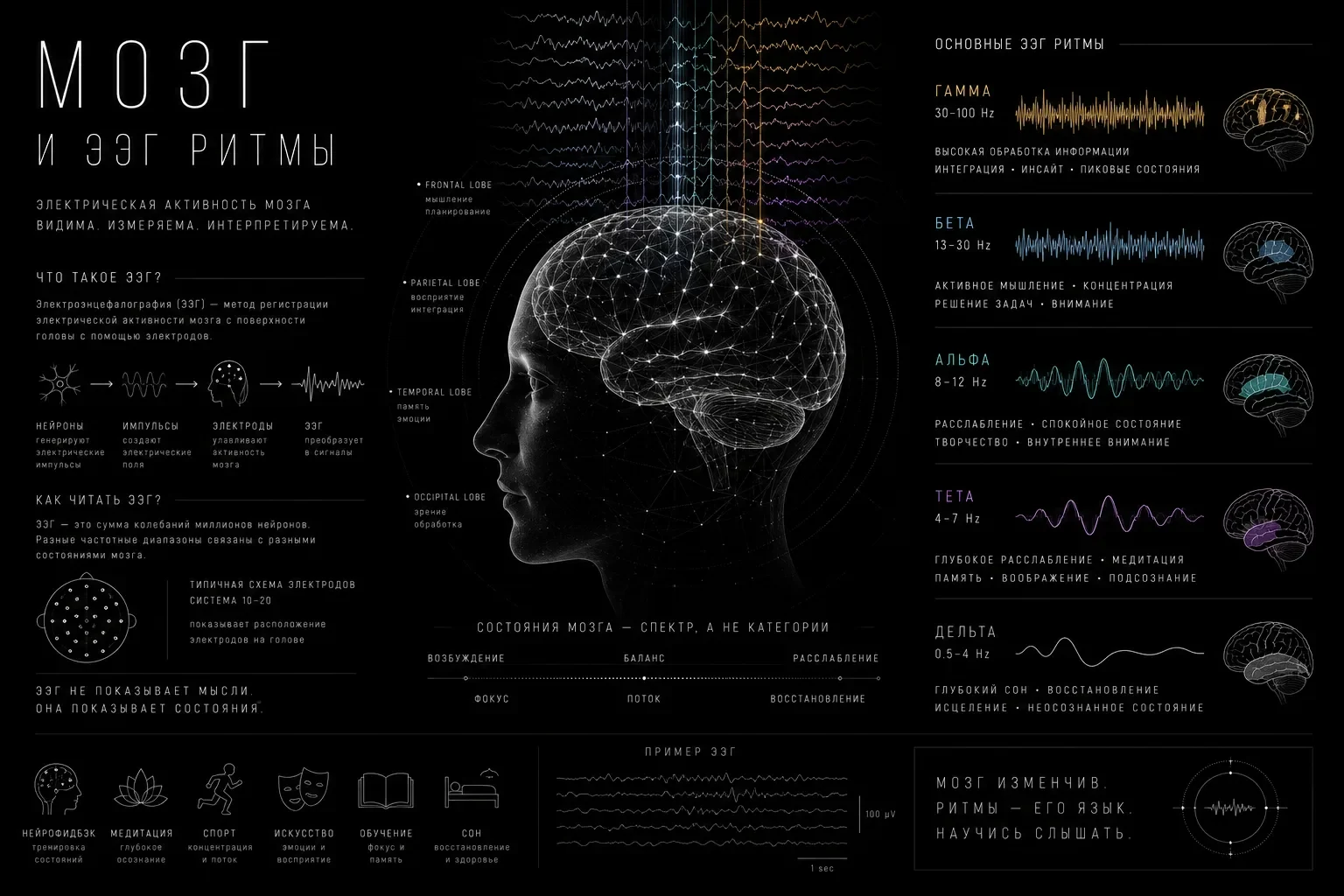 Interference · authored poster “Brain”
